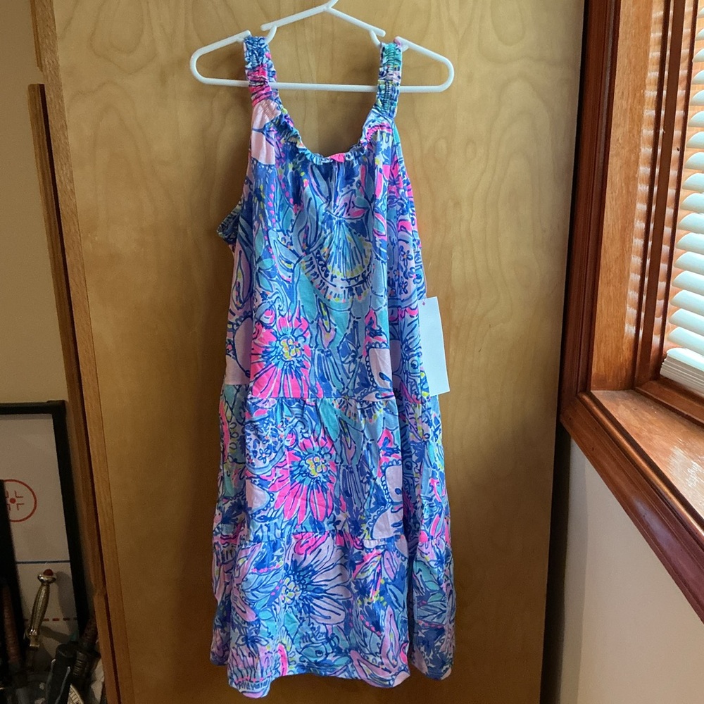Lilly Pulitzer Blue and Pink Mini Loro Dress